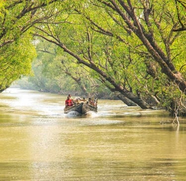 Sundarban mangrove forest wildlife tour by Avmita Travels