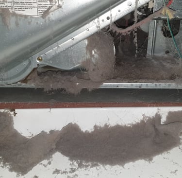 Lint buildup inside of the dryer of a Fort Myers home