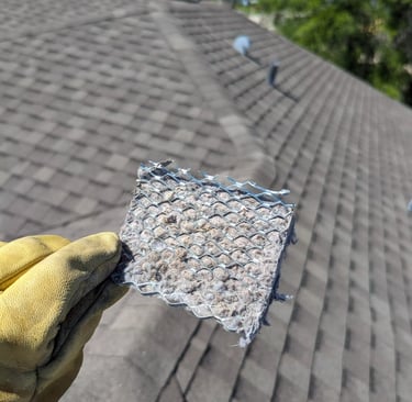 Dryer vent screen clogged with lint, Dryer Vent Cleaning in Cape Coral, Duct Cleaning
