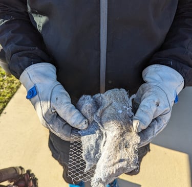 Clean roof screen for dryer vent in Cape Coral Florida