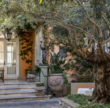 Mediterranean Garden