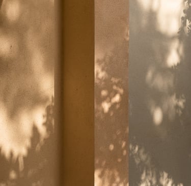 Limewash wall absorbing afternoon light — matte surface texture.