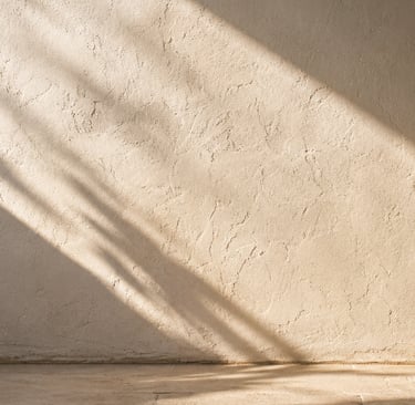 Textured lime plaster wall in warm Mediterranean light, with a soft palm shadow grazing across the h