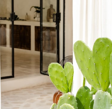 Stone floor crossing the threshold from interior to terrace in a French Mediterranean house.