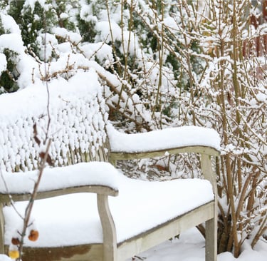 Outdoor teak bench through winter on a French Mediterranean terrace.