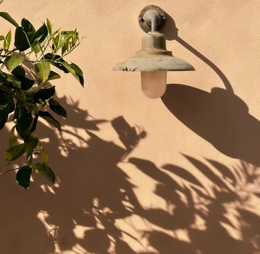 West-facing wall holding evening light on a French Mediterranean terrace.