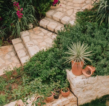 Weathered limestone terrace floor in a French Mediterranean garden.
