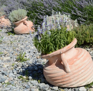 Weathered terracotta in a French Mediterranean garden.