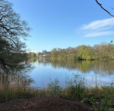 Live in the here and now and notice the positives around you