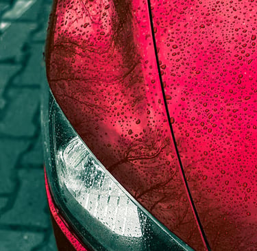 Ceramic coating service in Glendale CA glossy car finish