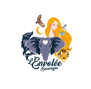 Boutique l'envolee sauvages Avignon