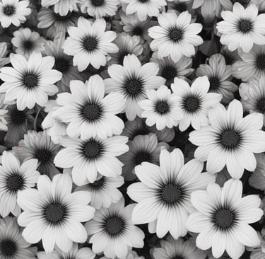 a man is looking out of a window