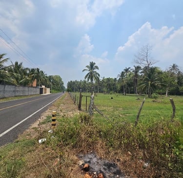 fotografía de lote a orilla de carretera