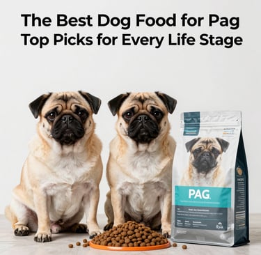 fawn pug on focus photo