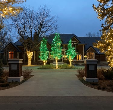 Christmas Lights on trees in Colorado