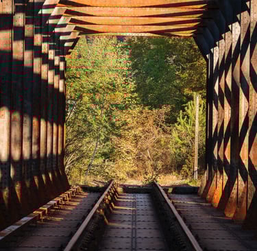 Pont ferroviaire de Molinges (39)