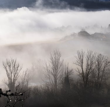 Brume 1 Jura (39)