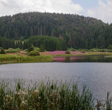 Lac de l'Embouteilleux Jura 39