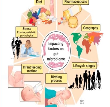 Lees wat de invloed van je microbioom is