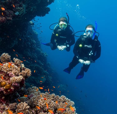 scuba diving
