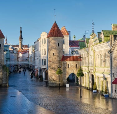 Panoramablick über die Altstadt von Tallinn