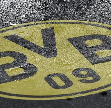 BVB 09 Borussia Dortmund