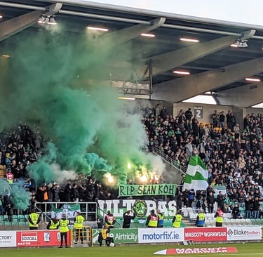 Fans im Tallaght Stadium – Stimmung beim Heimspiel der Shamrock Rovers in Dublin erleben