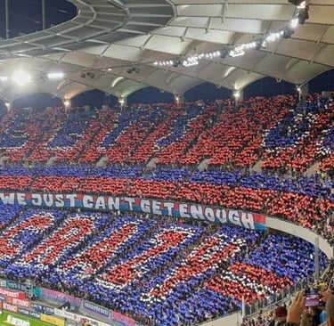 Fans Steaua Bukarest FCSB
