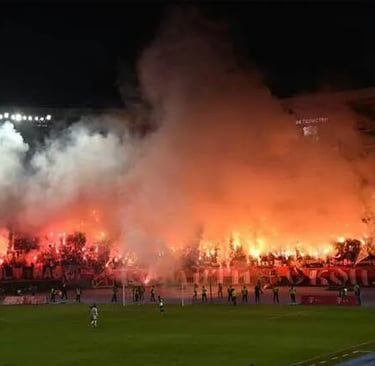 Fans von FK Vardar Skopje in der Nacionalna Arena Toše Proeski beim Spiel