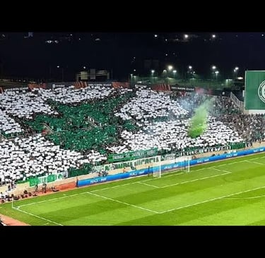 Innenaufnahme des GSP Stadium in Nikosia während eines Spiels von Omonia Nikosia, volle Tribünen mit jubelnden Fans und grün-