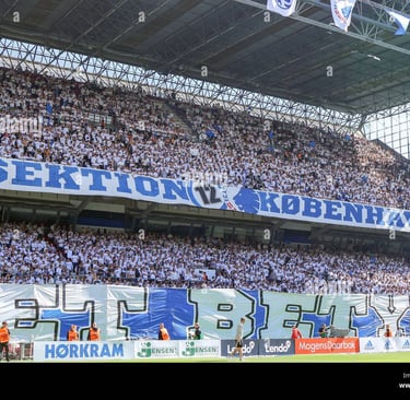 Fan des FC Kopenhagen im Stadion, jubelnd während eines Spiels.