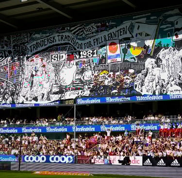Emotionaler Rosenborg-Fan fiebert im Stadion mit – typische Fußballatmosphäre in Trondheim.