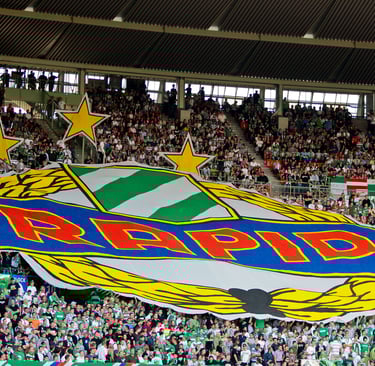 Rapid Wien Fussball Fan