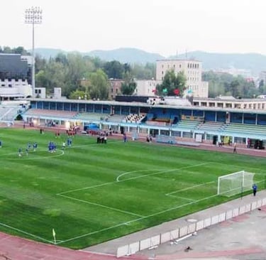 Selman-Stërmasi-Stadion in Tirana aus der Vogelperspektive, Blick auf Spielfeld, Tribünen und umliegende Stadtviertel