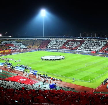 Roter Stern Belgrad Rajko Mitić