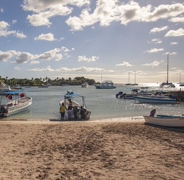 Tour boats at Bayahibe marina, the main departure point for Saona Island excursions in the Dominican Republic