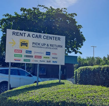 Car rental in Punta Cana Dominican Republic with Avis, Hertz, Alamo and Budget