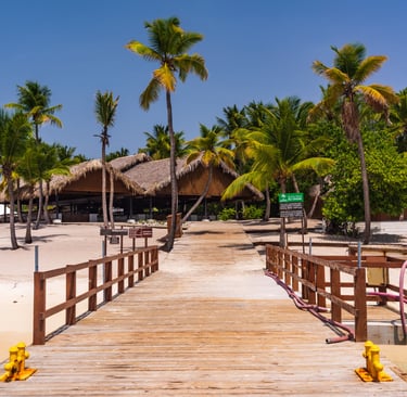 Wooden pier leading to Catalina Island beach with palm trees and thatched huts