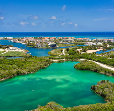 aerial view of marina in cap cana