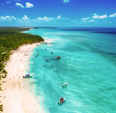 An aerial view of boats anchored along a tropical beach lined with palm trees on Saona Island, Domi