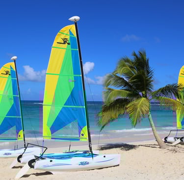 a group of hobie cats on a beach