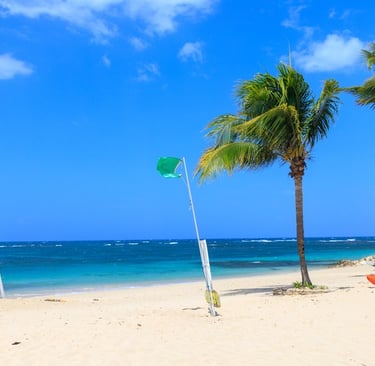 Green flag flying on a calm beach in the Dominican Republic, showing safe swimming conditions.