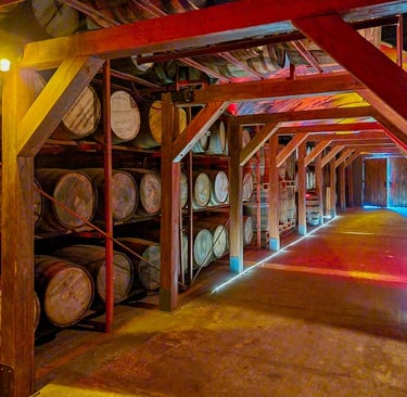 Oak barrels aging Dominican rum inside a distillery warehouse