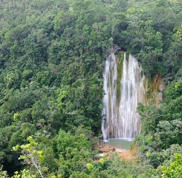 Aerial view of El Limón Waterfall surrounded by dense jungle on the Samaná Peninsula, Dominican Republic