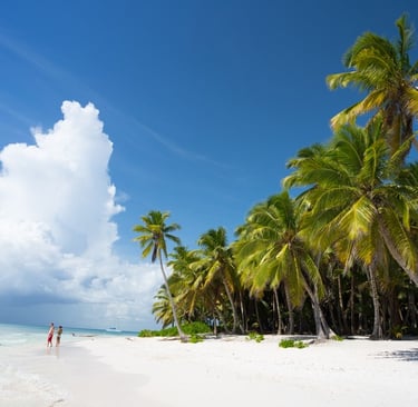 Sunny beach with palm trees and turquoise water on Saona Island in the Dominican Republic