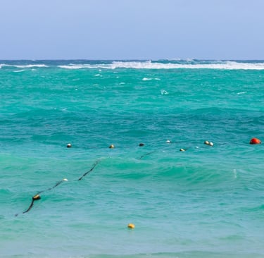 Buoy-marked swimming area in turquoise Caribbean waters, Dominican Republic