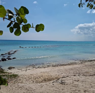 Calm beach with clear water and no sargassum in the Dominican Republic