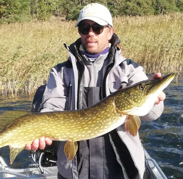 un pêcheur tient un brochet en suède, il pêche le brochet avec fishing escape sweden.