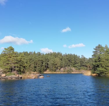 lac et forets suédoise. beau lac parfait pour pêcher le brochet en suède