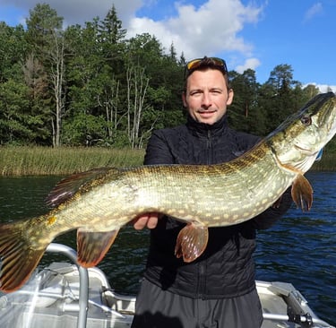 Ein Fischer ist auf einem Boot auf einem schwedischen See und hat einen großen schwedischen Hecht.
